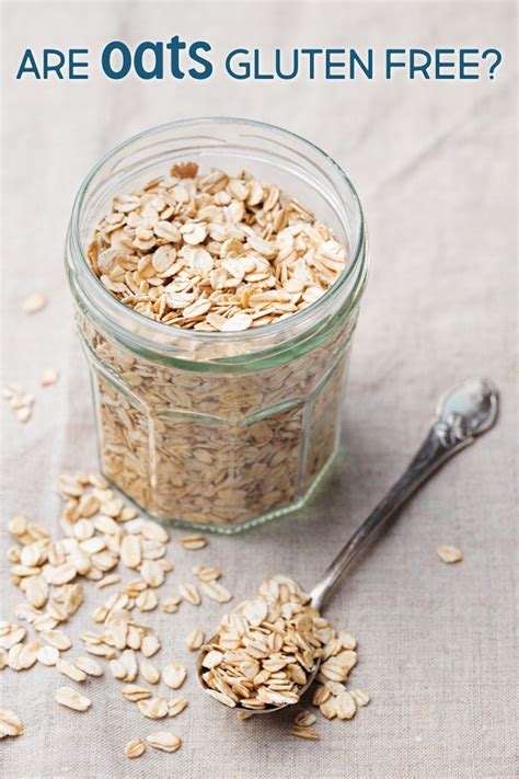 Are Oats Gluten Free? | Benefits of Oats and Different Types of Oats