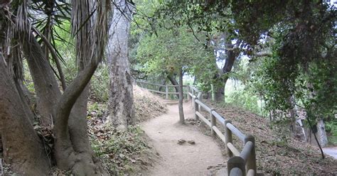 Desert Souljourn: Topanga State Park Hike