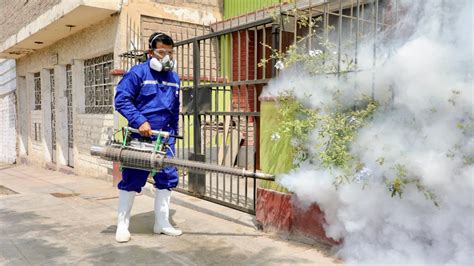 Minsa Aprueba Norma Para Fortalecer La Vigilancia Y Control Del Dengue