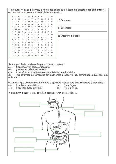 Atividades Sistema Digestorio 5 Ano