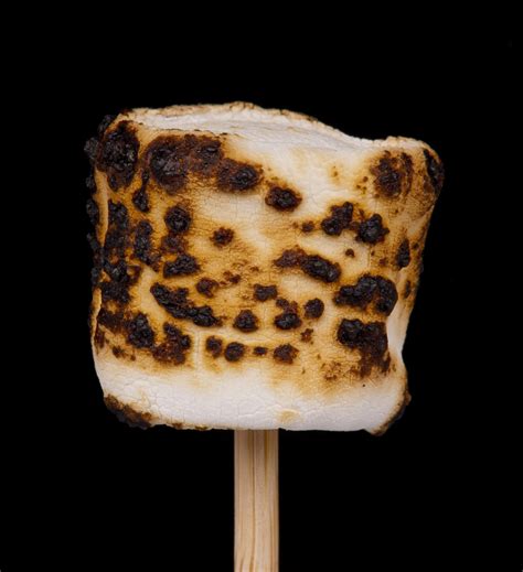 Roasted Marshmallow Free Stock Photo - Public Domain Pictures