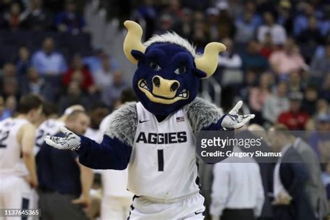 Aggies Mascot Photos and Premium High Res Pictures - Getty Images