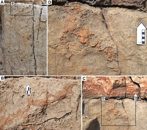 Examples of the paleokarst fi lls between meters 60 and 61 of the... | Download Scientific Diagram