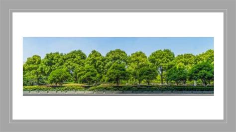 CAMPOS DE ARBOLES EPuzzle Foto Puzzle