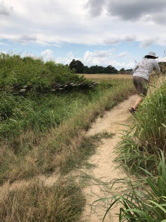 Yorktown Battlefield - TripAdvisor