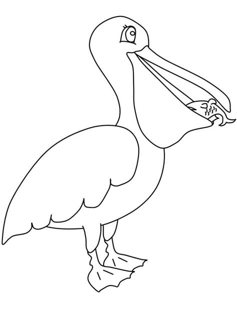 Pelican Coloring Pages Pdf Pelican Is A Type Of Water Bird That Has A