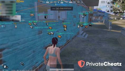 Pubg Mobile Hyperion Hack Cheatservice