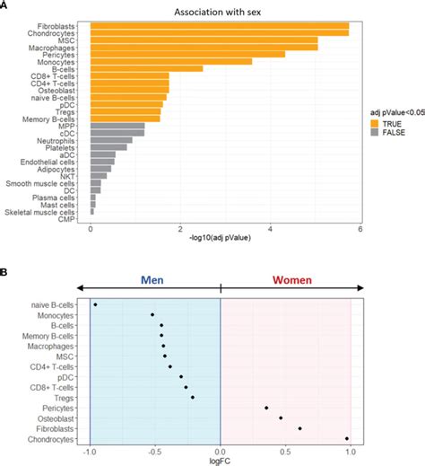 Sex Specific Cell Types And Molecular Pathways Indicate Fibro Calcific Aortic Valve Stenosis