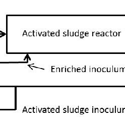 Scheme of bioaugmentation process. | Download Scientific Diagram