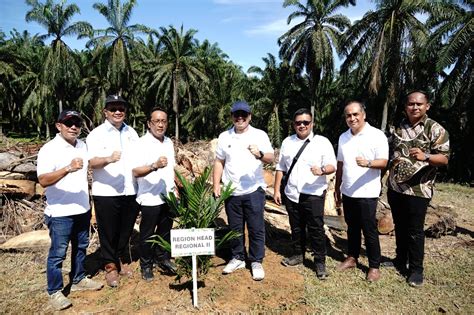 Ptpn Iv Regional Ii Tanam Perdana Kelapa Sawit Ha Di Kebun Plasma