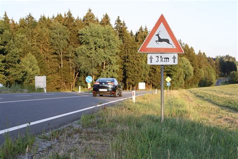 Achtung Wildwechsel Gemeinde Saxen