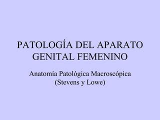 Ginecopatologia PPT