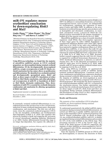 PDF MiR 191 Regulates Mouse Erythroblast Enucleation By Down