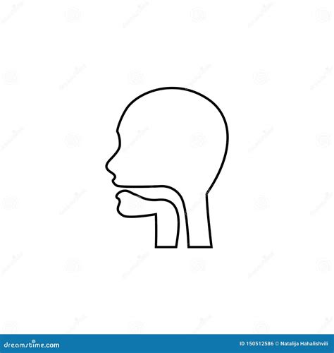 Pharynx And Esophagus