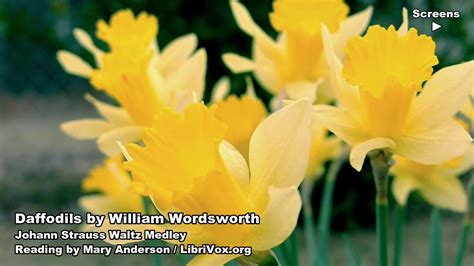 Daffodils William Wordsworth Poem Video Daffodils William