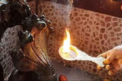 Nag Panchami 2023 নাগপঞ্চমীতে ভাগ্যের দ্বার খুলবে এই রাশির জাতক