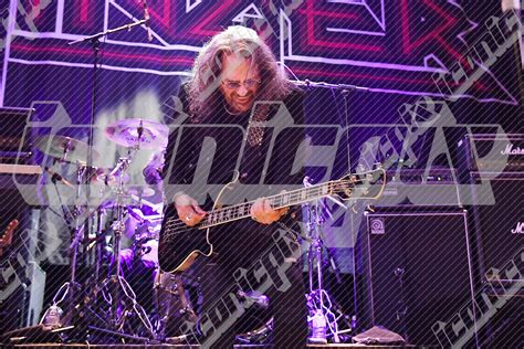 Photo Of Winger Performing Live In 2024 Iconicpix Music Archive