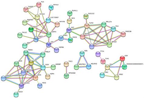 Interaction Network Of Important Deps Ribosomal Proteins Slrp Type