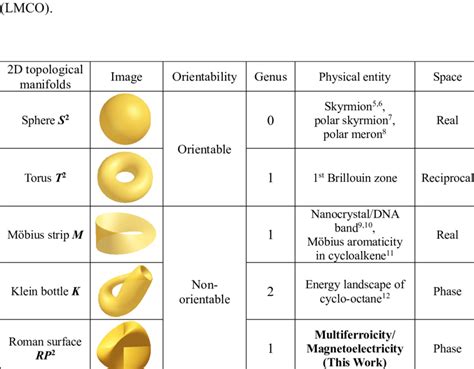 Typical Two Dimensional Topological Manifolds Surface Their