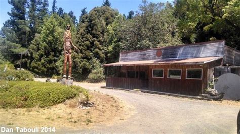 The Living Chimney Tree Weird California