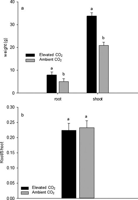 Root And Shoot Dry Weights A And Root To Shoot Ratios B After