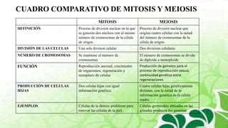 Mitosis Y Meiosis Ppt