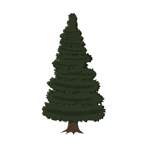 Spruce Evergreen Tree Vector Illustration In Flat Style 35633056