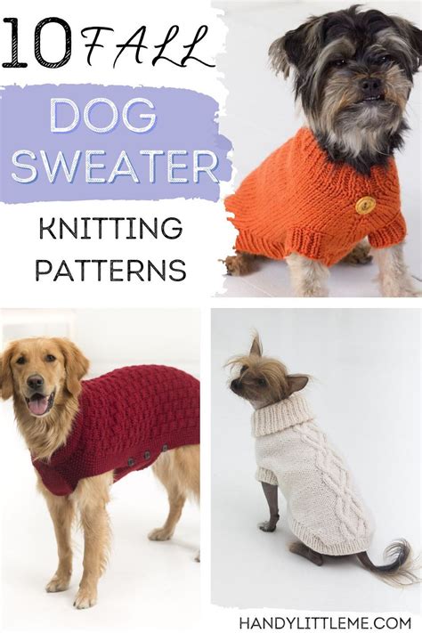 10 beautiful fall dog sweater knitting patterns – Artofit