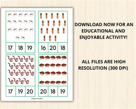 Insect Count and Clip Cards,numbers 1-20,insect Montessori,counting