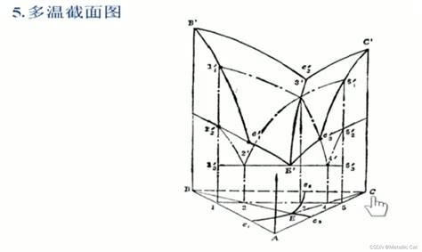 冶金物理化学复习 简单三元共晶相图三元相图的绘制与解读 Csdn博客