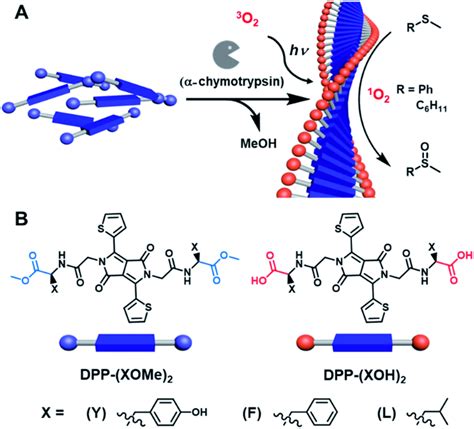 Visible Light Photooxidation Enabled By A Supramolecular Hydrogel A