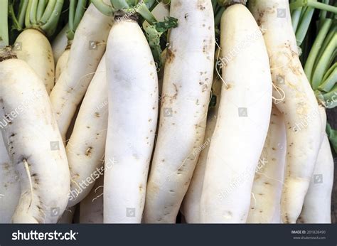 Chinese Radish Oriental Radish Daikon Raphanus Stock Photo 201828490