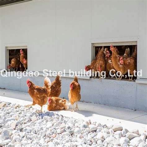 Prefabricated Poultry Farming Steel Structure Chicken Farm Building