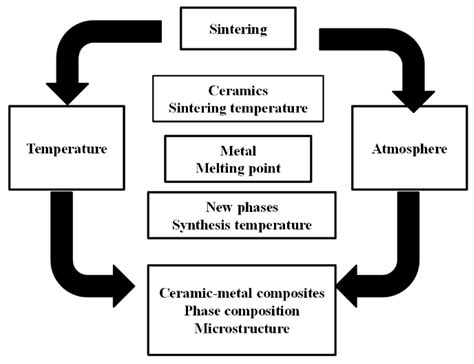 Particle Reinforced Ceramic Matrix Composites—selected Examples