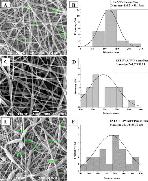 Scanning Electron Microscopy Images Of Nanofibrous Scaffolds With Their