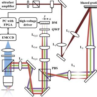 Optical Setup Of The Temporal Focusing Based Multiphoton Microscope