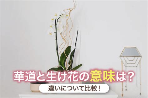 華道と生け花の違いとは？意味や比較！