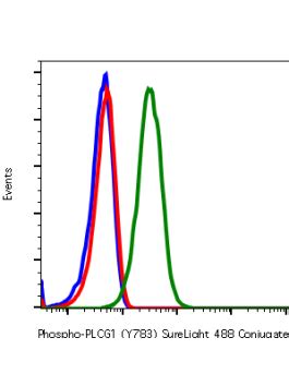 Phospho Plcg Y Recombinant Mab Abwiz Bio