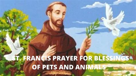 St Francis Of Assisi Prayers For Blessing Of Pets And Animals Youtube