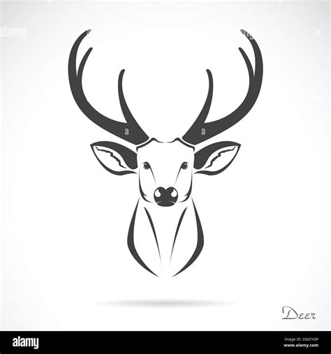 Image Vectorielle D Une T Te De Cerf Sur Fond Blanc Illustration