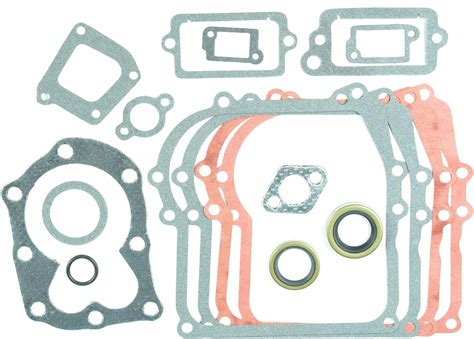 Amazon Oregon Complete Gasket Set With Seals Replacement