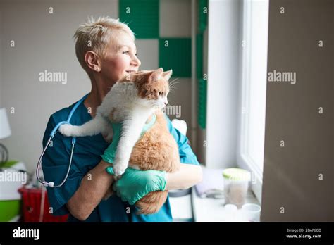 Mature Woman In Uniform Looking Through The Window And Smiling While Holding Cat In Her Hands In
