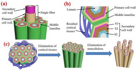 Schematic Diagram Of Raw Hemp Fiber Structure And Structural Change