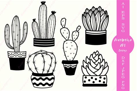 Succulent Outline SVG