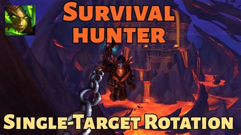 Survival Hunter Single Target Rotation Guide Dragonflight Raid