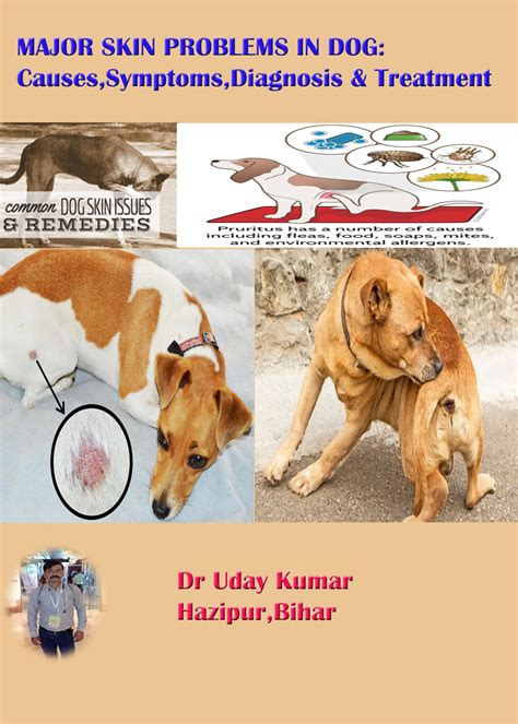 MAJOR SKIN PROBLEMS IN DOG: Causes,Symptoms,Diagnosis & Treatment