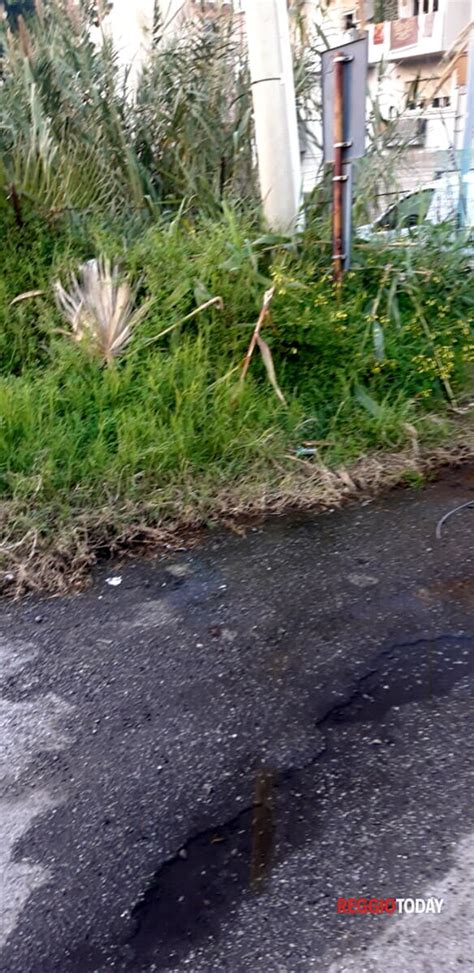 Vasta Perdita Di Acqua Potabile In Via San Giuseppe Segnalazione A