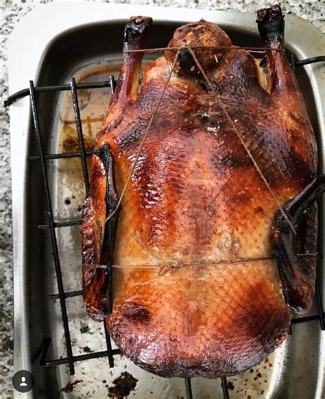 [Homemade] Roasted Pekin Duck : r/food