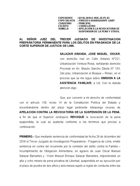 Apelacion A La Revocatoria De La Suspencion De La Pena Pdf Castigos