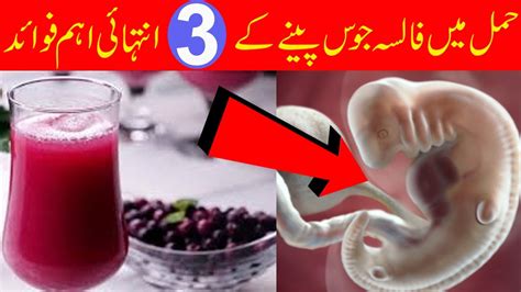 Falsa Juice During Pregnancy Falsay Ka Sharbat Falsa Juice Youtube